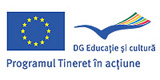 logo programul tineret in actiune